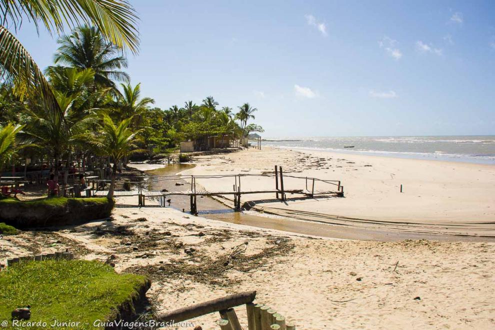 Imagem da bela vegetação da Praia da Amendoeira.